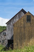 Roof Lines Fine Art Print