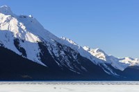 Saturday Morning Skate Fine Art Print