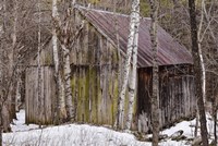 Sharon Barn Fine Art Print