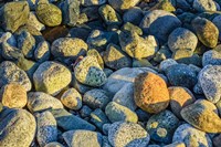 Shoreline Stones Fine Art Print