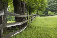 Split Rail Fence Fine Art Print