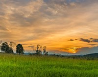 Summer Light Fine Art Print