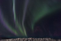 Swirls Of Wonder Fine Art Print