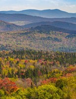 Vermont's Colors Fine Art Print