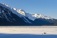 Walking Among Giants Fine Art Print