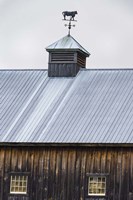 Weathervane Fine Art Print