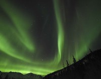 Winter's Night Sky Fine Art Print