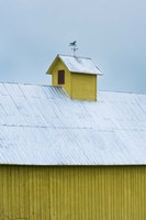 Yellow Cupula Fine Art Print