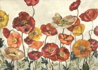 Field Of Poppies Fine Art Print