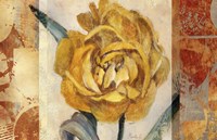 Golden Blossom 2 Fine Art Print