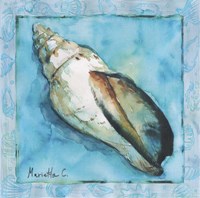 Shell 2 Fine Art Print