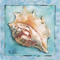 Shell 3 Fine Art Print