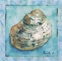 Shell 4 Fine Art Print