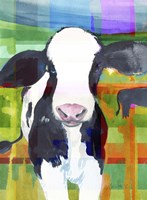 Cow Fine Art Print