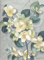 Flowers Study 2 Fine Art Print