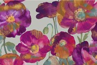 Poppies From My Window Fine Art Print