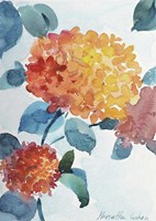 Watercolor Hortensia 2 Fine Art Print