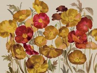 Yellow And Red Poppies Fine Art Print