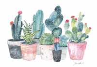 Cactus Fine Art Print