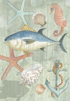 Coastal I Fine Art Print