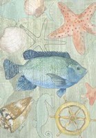 Coastal II Fine Art Print