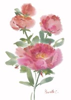 Flower Series 1 Fine Art Print