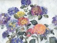 Hortensia Delight Fine Art Print
