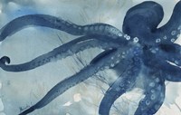 Octopus I Fine Art Print