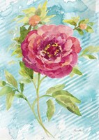 Spring Garden II Fine Art Print