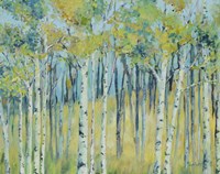 Birch Forest Fine Art Print