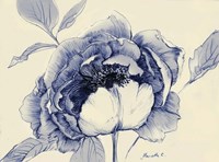 Indigo Peony Fine Art Print
