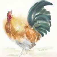 Orange Rooster Fine Art Print
