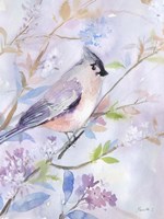 Pastel Birds 1 Fine Art Print