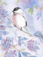 Pastel Birds 2 Fine Art Print