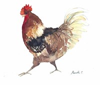 Rooster B Fine Art Print