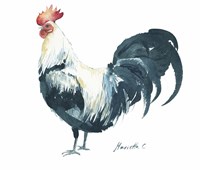 Rooster C Fine Art Print