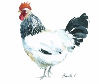 Rooster D Fine Art Print