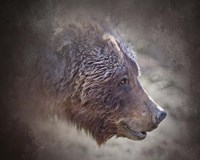 Grizzly Bear Boar Framed Print