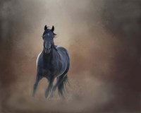 Knighthawk - S Steens Wild Stallion Fine Art Print