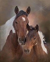 S'more & Chippewa - S Steens Mustangs Fine Art Print