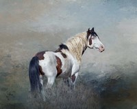 Shaman - S Steens Wild Stallion Fine Art Print