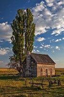 Memories Fine Art Print