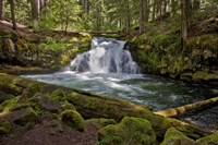 Whitehorse Falls Fine Art Print