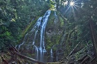 Lower Proxy Falls Fine Art Print