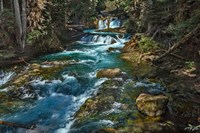 McKensie River Fine Art Print