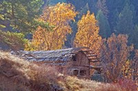 North Fork Cabin Fine Art Print