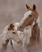 Gypsy & Sentinel Fine Art Print