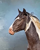 Casino Fine Art Print