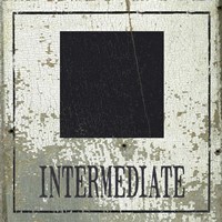 Intermediate Square Fine Art Print