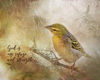 God is My Refuge Fine Art Print